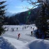 Xcountry ski